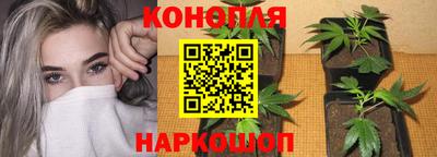 винт Кимры