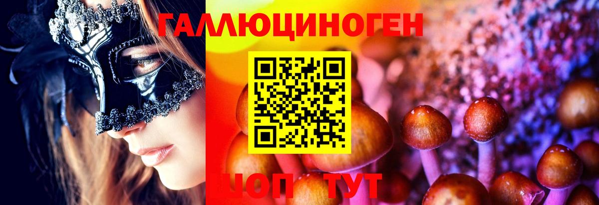 Галлюциногенные грибы MAGIC MUSHROOMS  Галлюциногенные грибы прущие грибы  Вход с VPN  Кувандык 