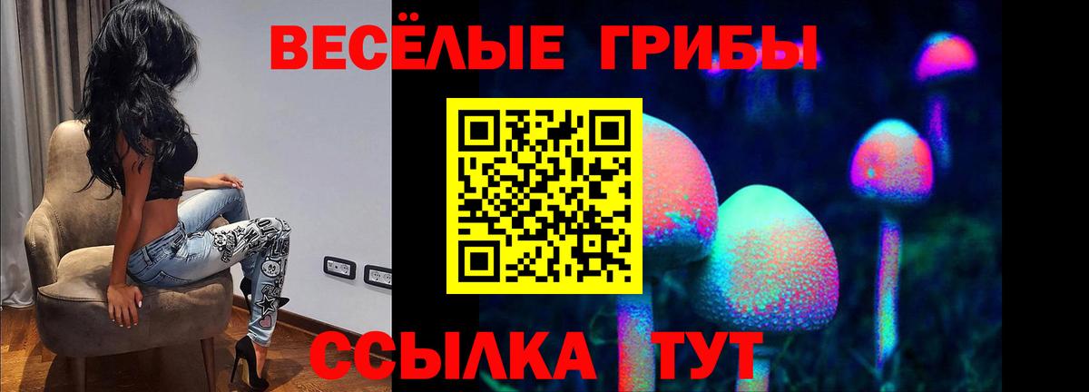 Галлюциногенные грибы прущие грибы Кувандык